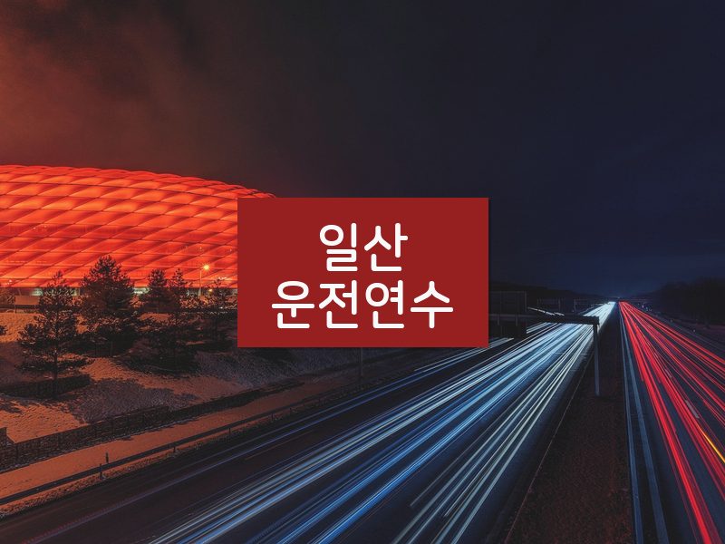 일산운전연수 후기