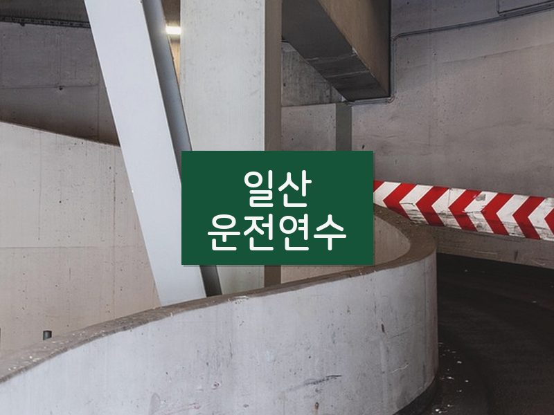 일산운전연수 후기