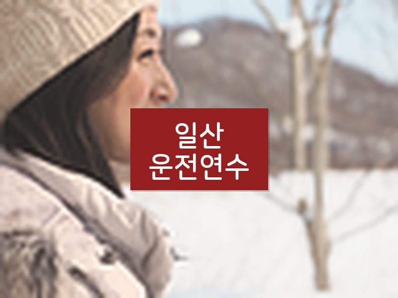 일산운전연수 후기