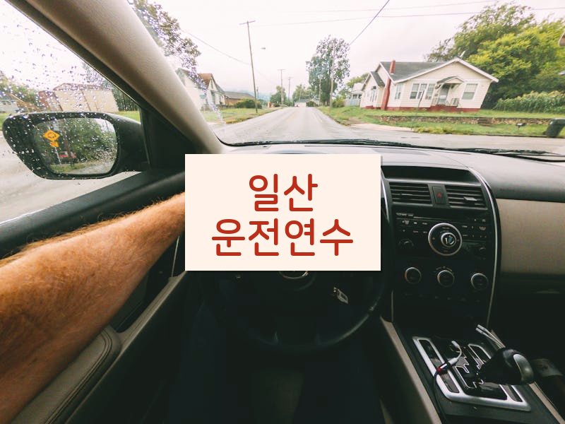 일산운전연수 후기
