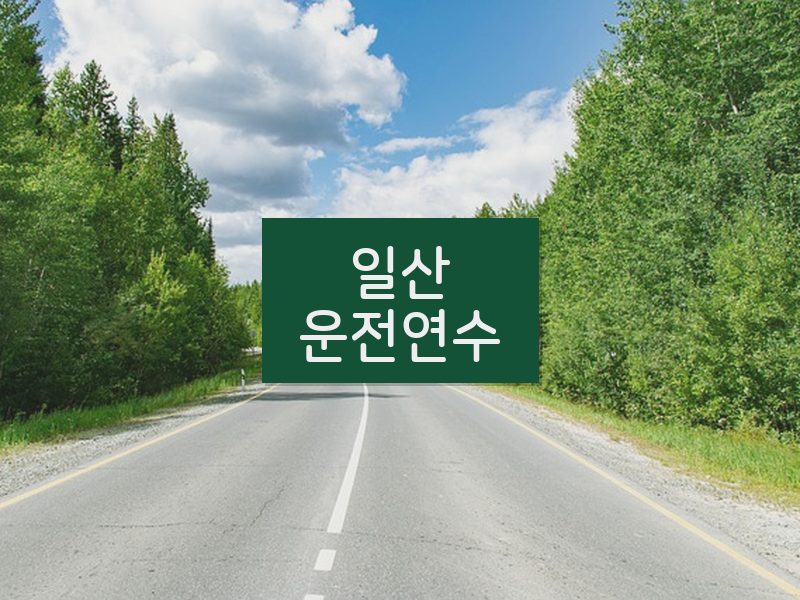 일산운전연수 후기