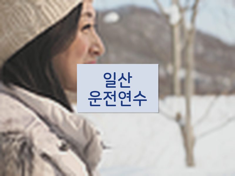 일산운전연수 후기