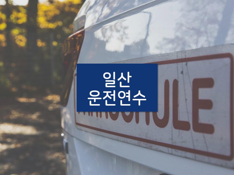 일산운전연수 후기