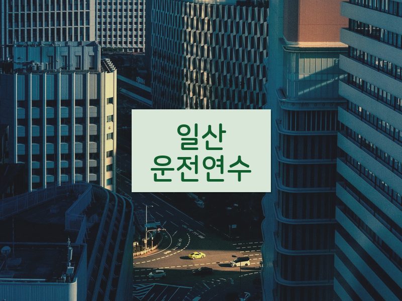 일산운전연수 후기