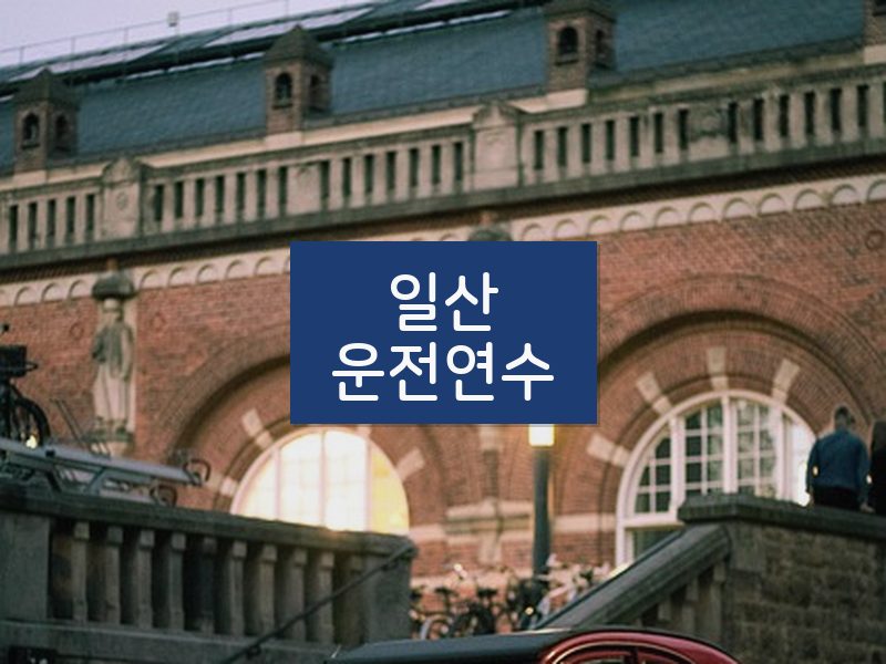 일산운전연수 후기