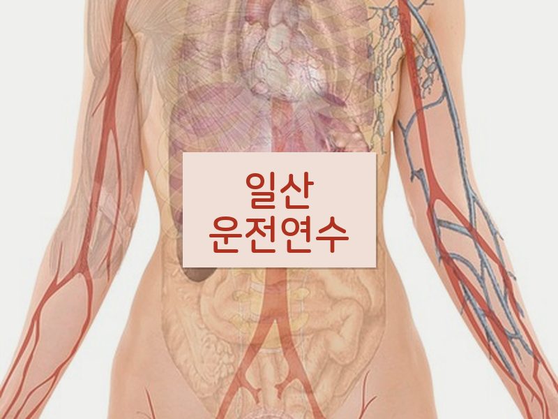일산운전연수 후기