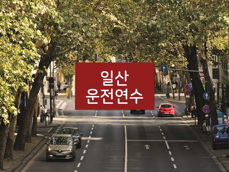 일산운전연수 후기