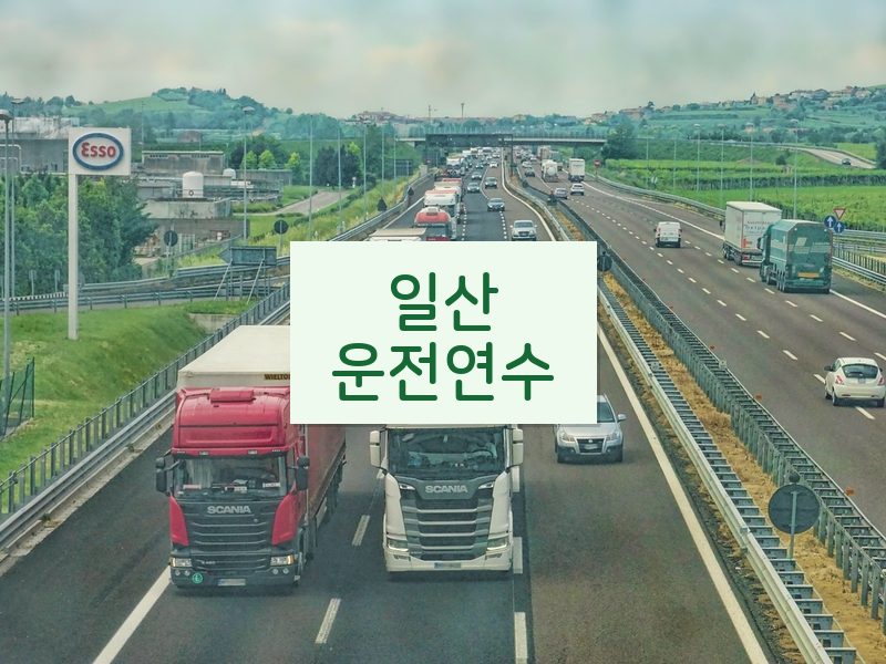 일산운전연수 후기