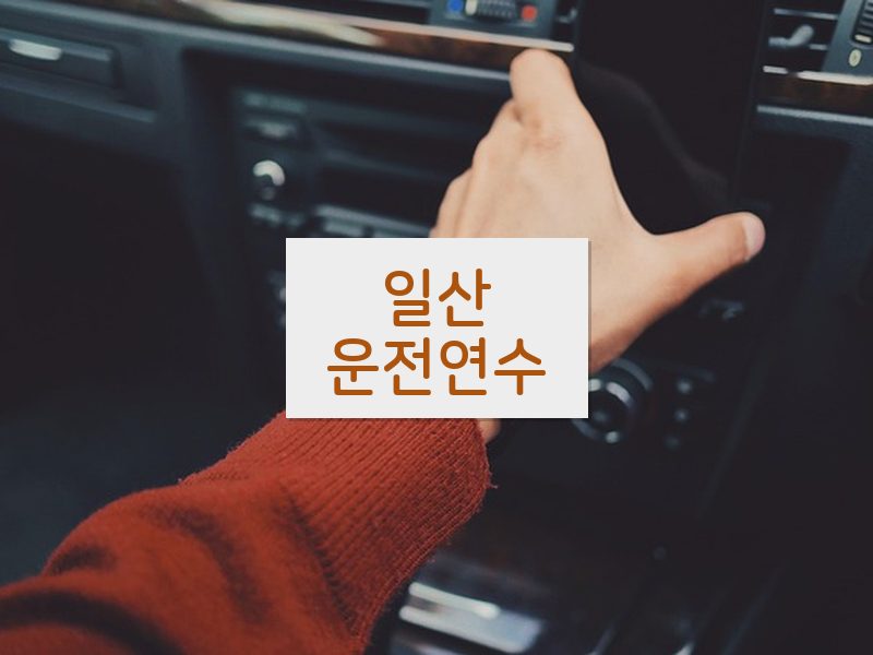 일산운전연수 후기