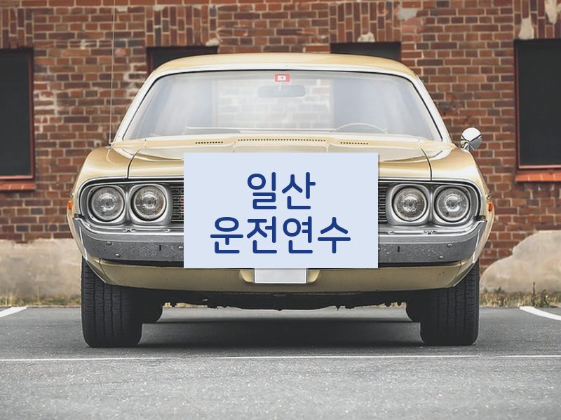 일산운전연수 후기