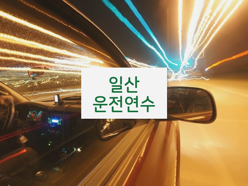 일산운전연수 후기