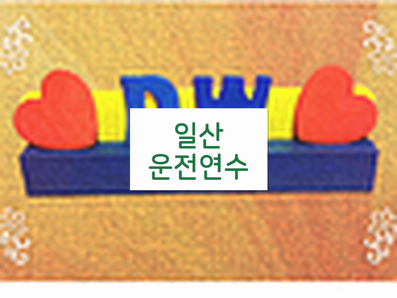 일산운전연수 후기