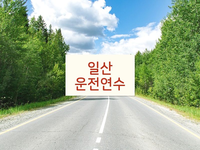 일산운전연수 후기