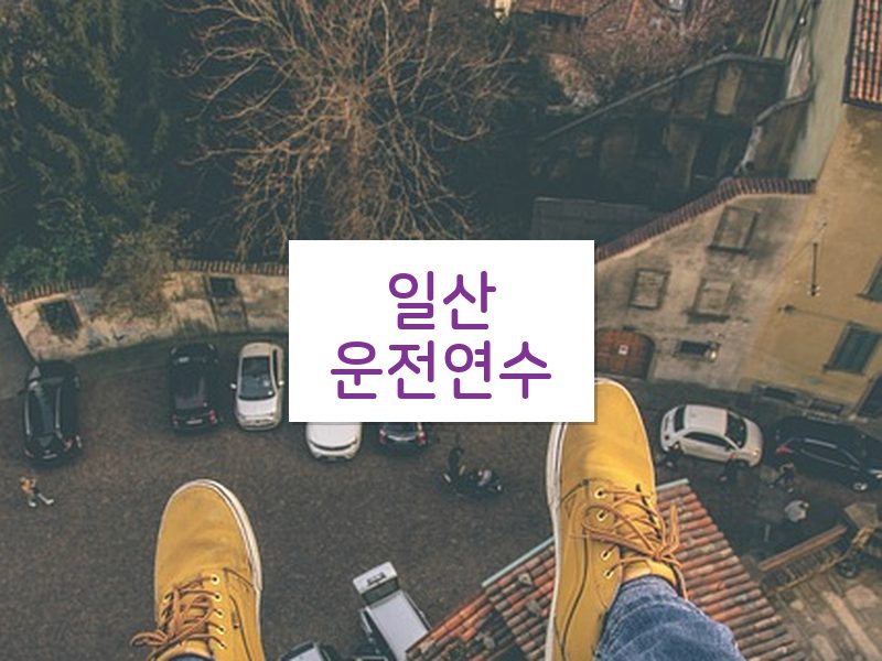 일산운전연수 후기