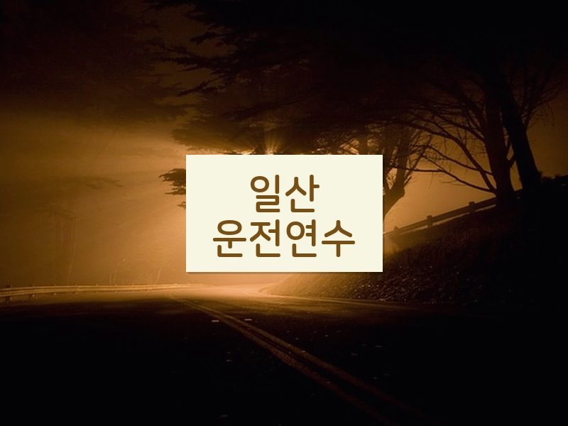 일산운전연수 후기