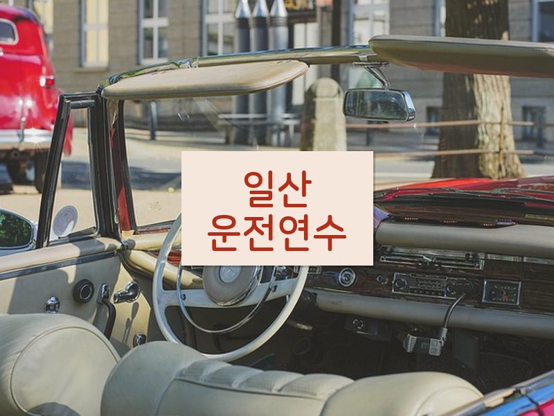 일산운전연수 후기