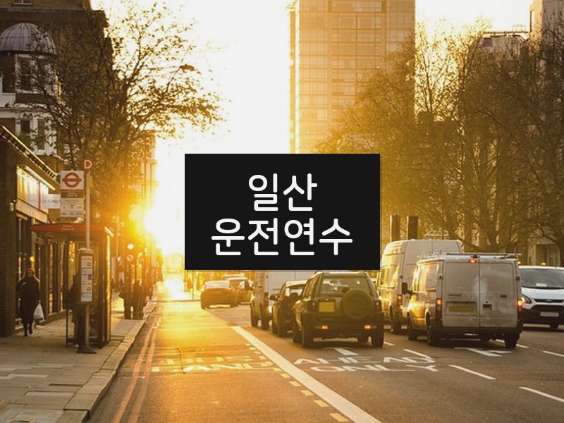일산운전연수 후기