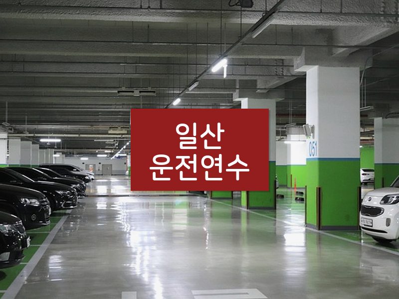 일산운전연수 후기