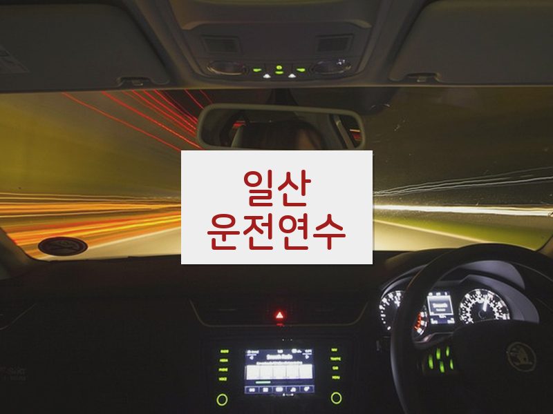 일산운전연수 후기