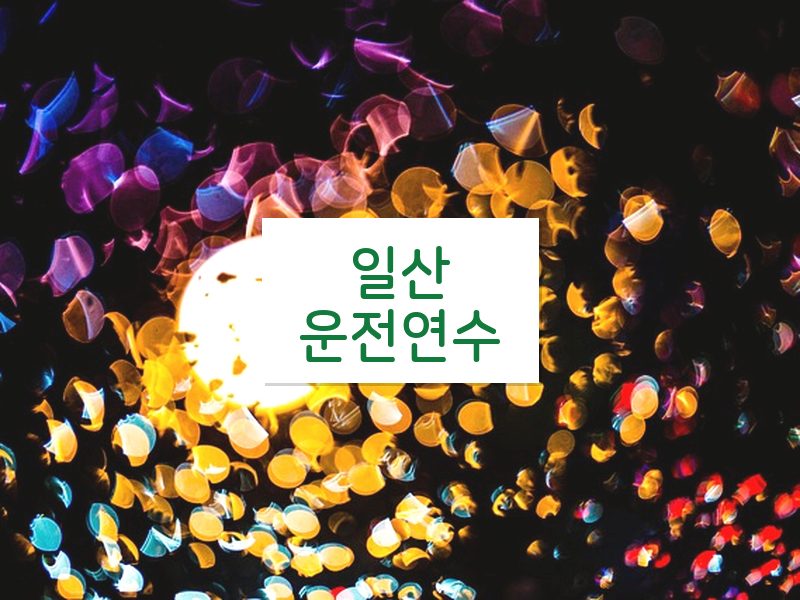 일산운전연수 후기