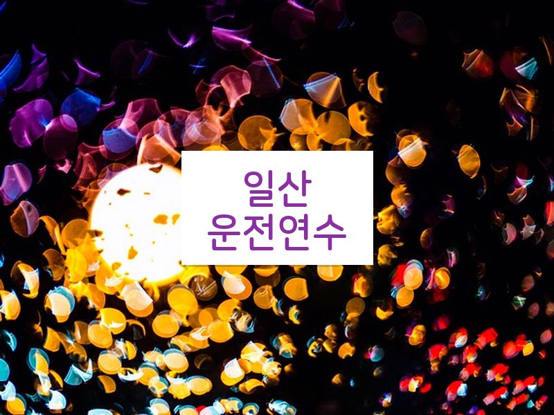일산운전연수 후기