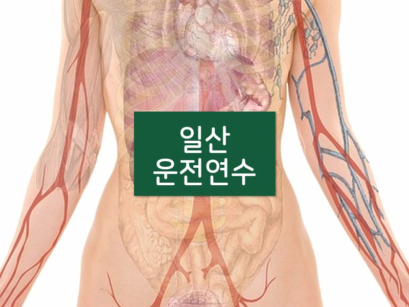 일산운전연수 후기