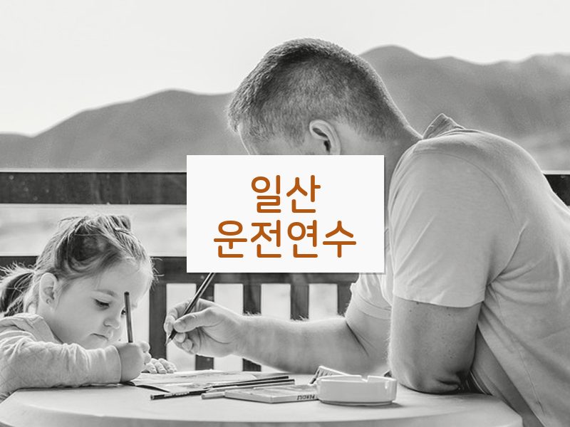 일산운전연수 후기