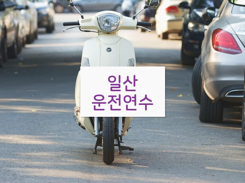 일산운전연수 후기