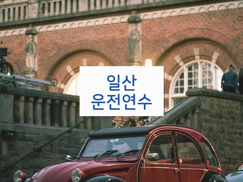 일산운전연수 후기
