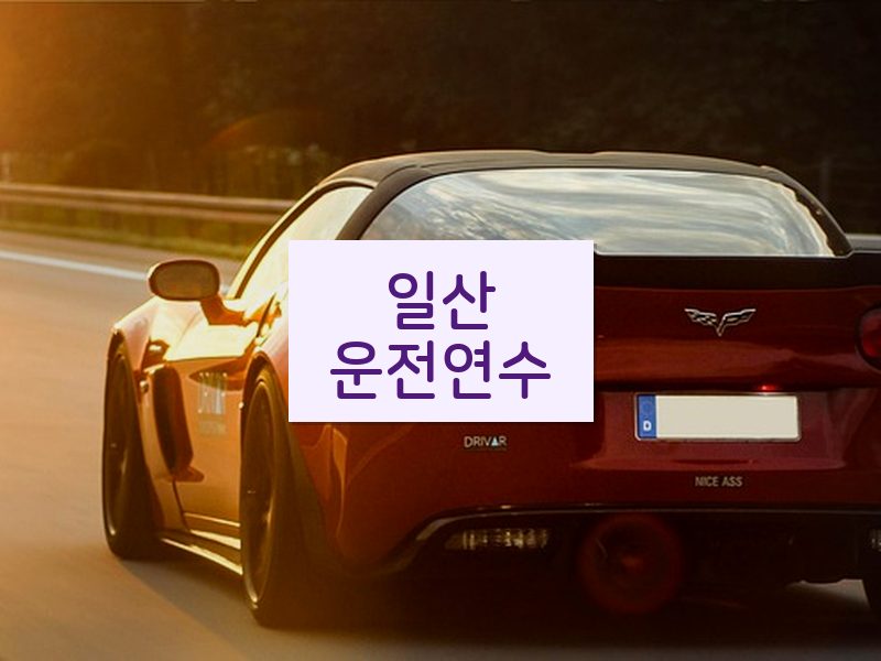 일산운전연수 후기