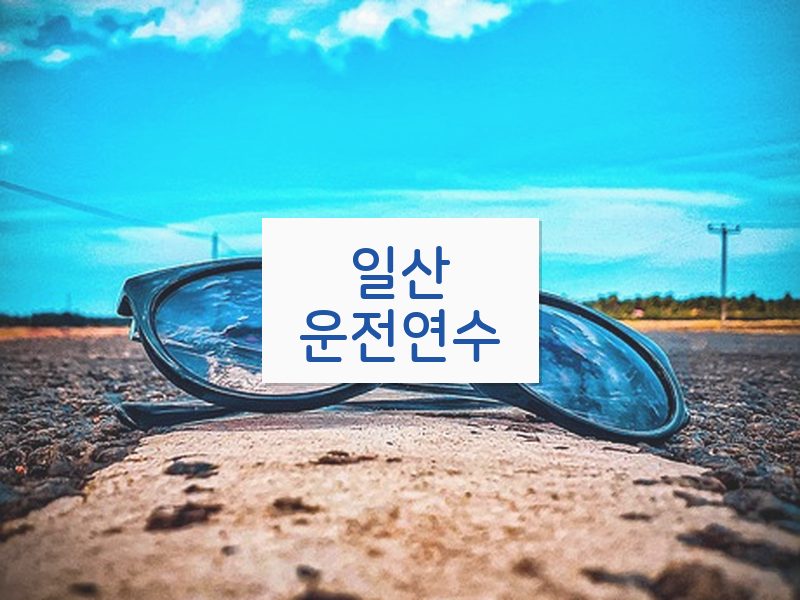일산운전연수 후기