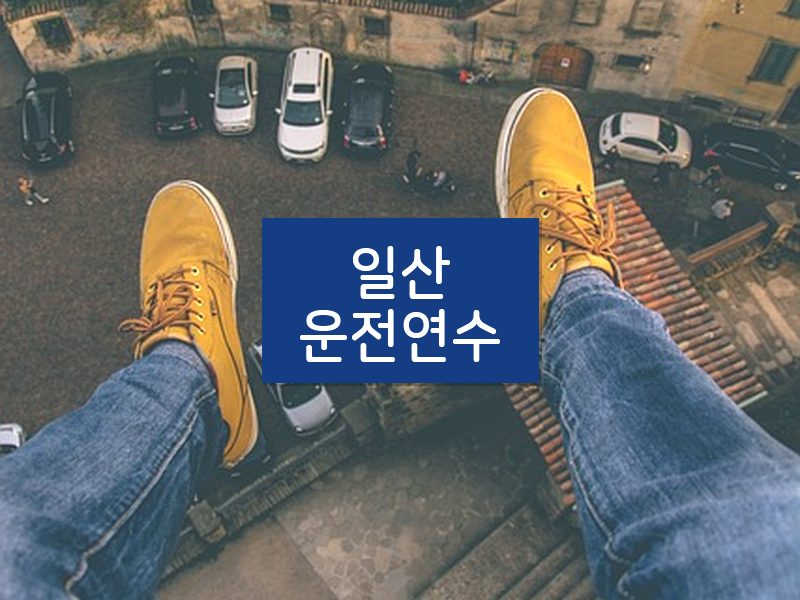 일산운전연수 후기