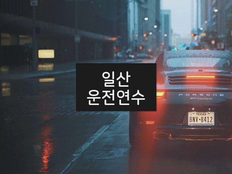 일산운전연수 후기
