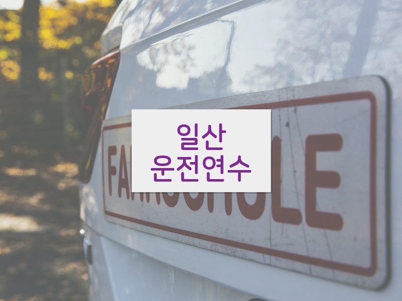 일산운전연수 후기