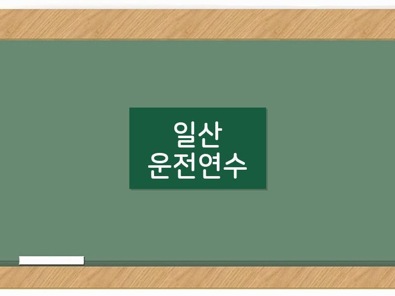 일산운전연수 후기