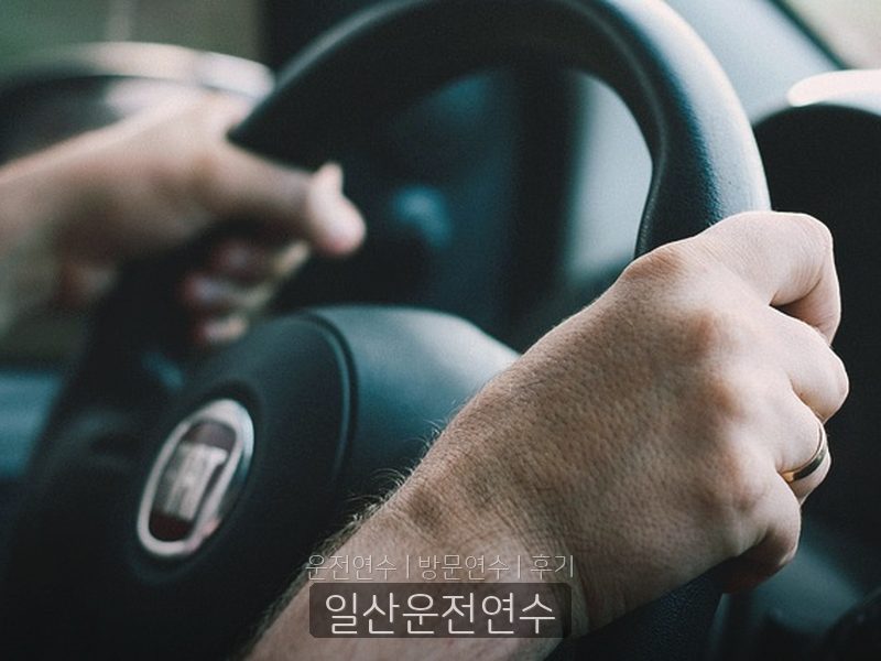 일산운전연수 후기