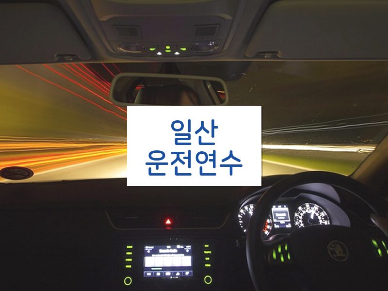일산운전연수 후기