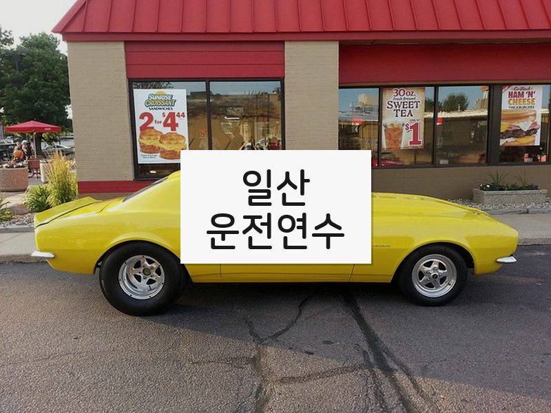 일산운전연수 후기