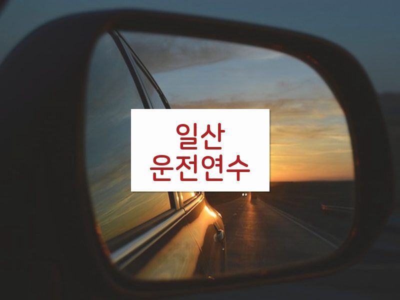 일산운전연수 후기