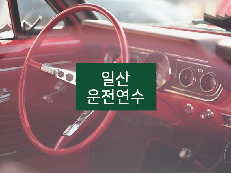 일산운전연수 후기
