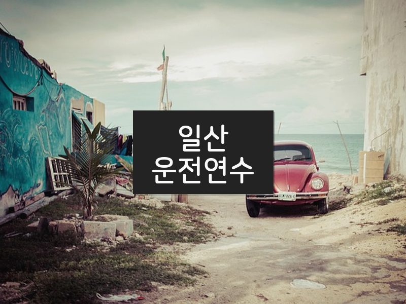 일산운전연수 후기