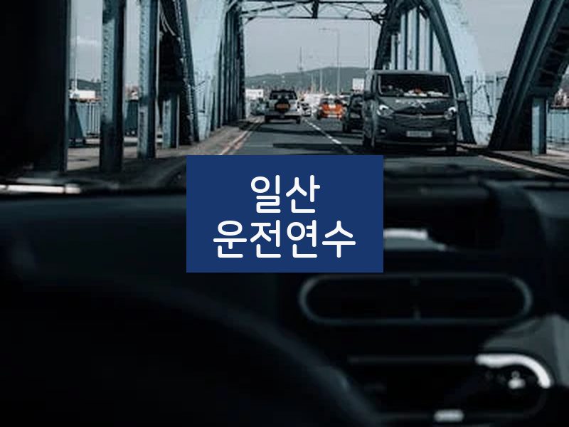 일산운전연수 후기