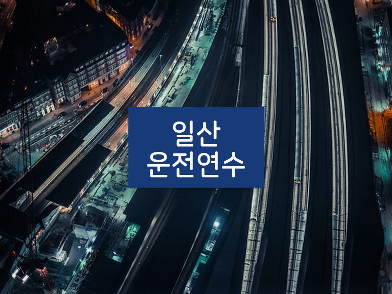 일산운전연수 후기