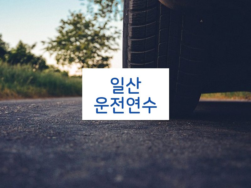 일산운전연수 후기
