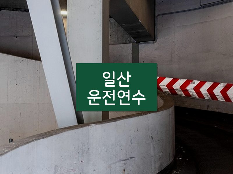 일산운전연수 후기