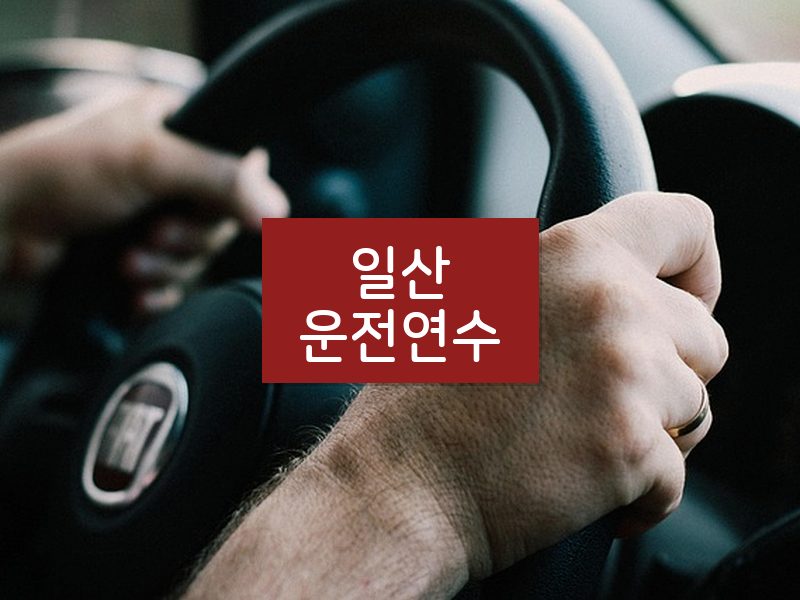 일산운전연수 후기