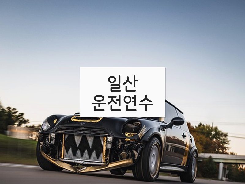 일산운전연수 후기