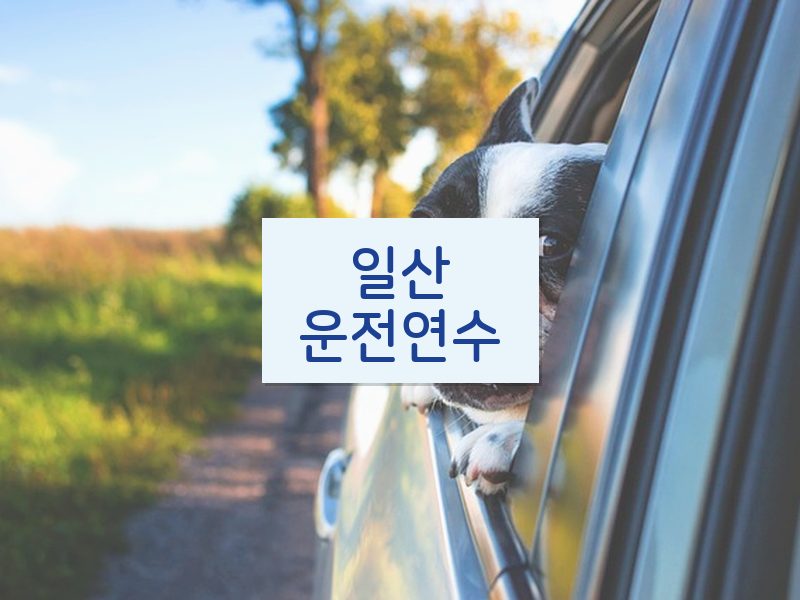 일산운전연수 후기