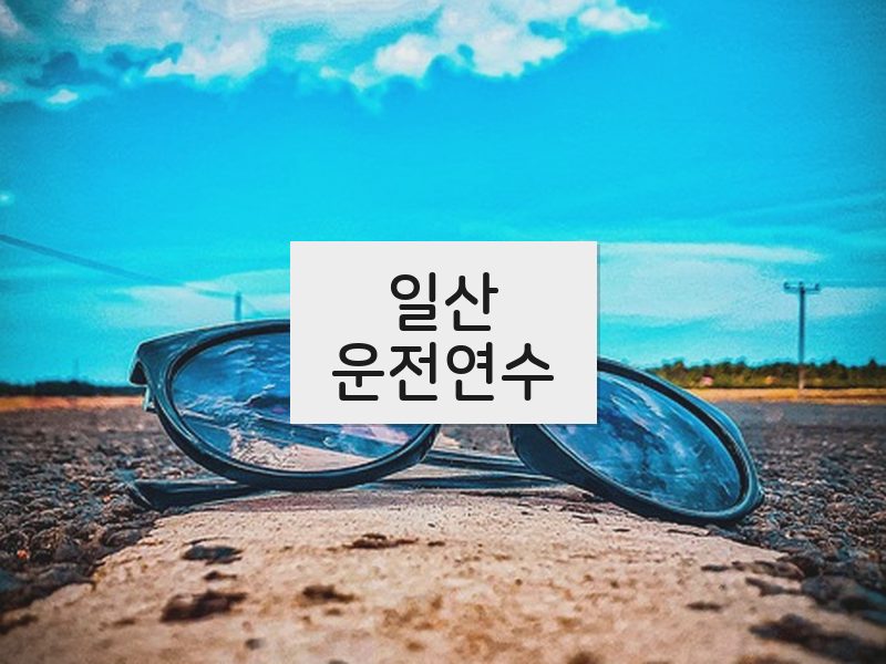일산운전연수 후기