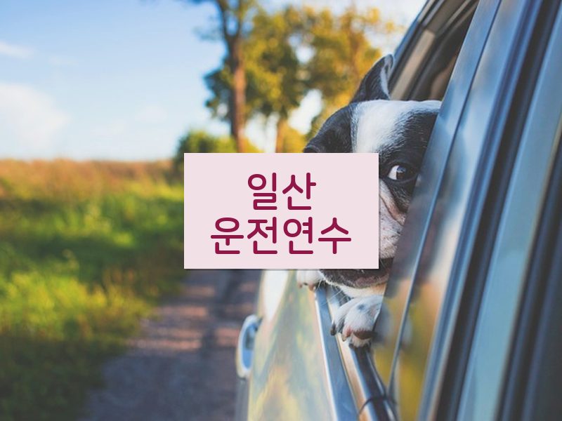 일산운전연수 후기
